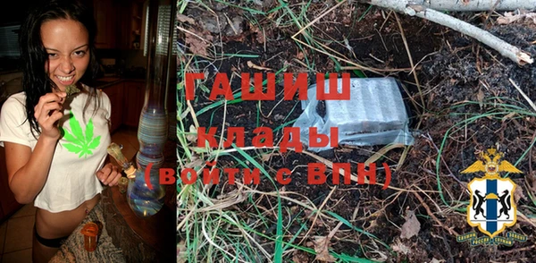 ПСИЛОЦИБИНОВЫЕ ГРИБЫ Алексин
