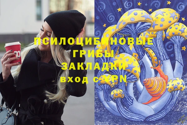 ПСИЛОЦИБИНОВЫЕ ГРИБЫ Алексин
