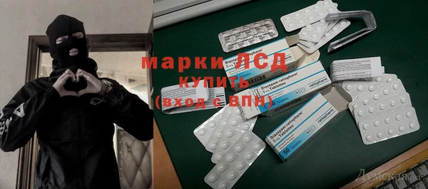 ПСИЛОЦИБИНОВЫЕ ГРИБЫ Алексин
