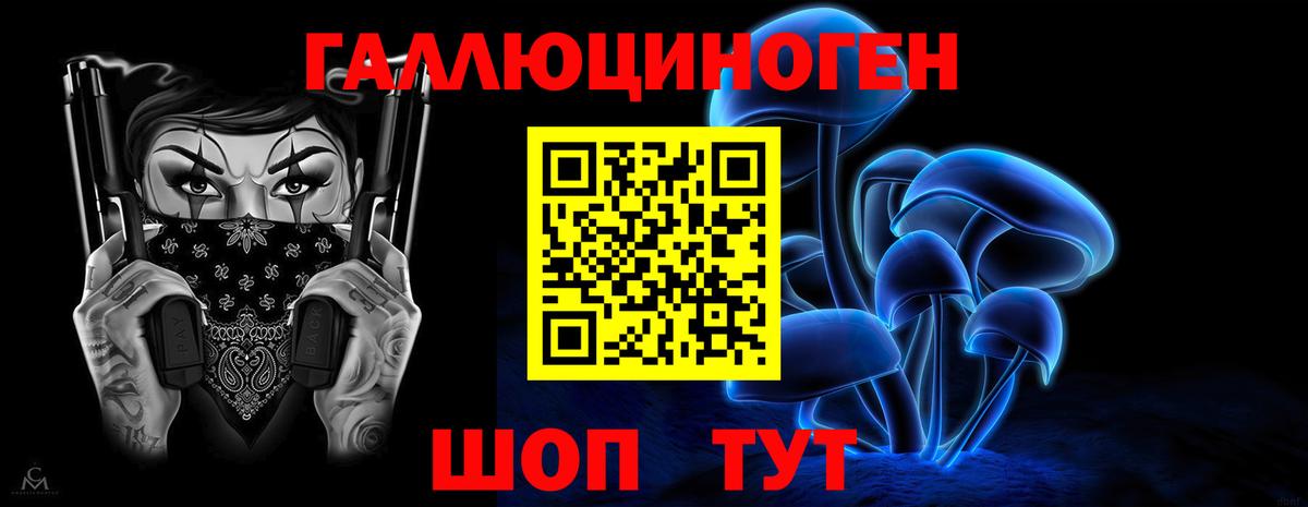 Лесной  Галлюциногенные грибы Psilocybe  Галлюциногенные грибы Cubensis  Вход с VPN 